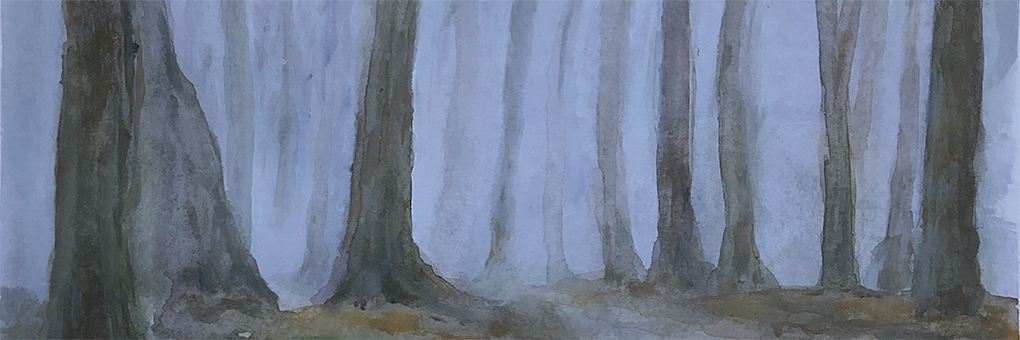 bomen in de mist