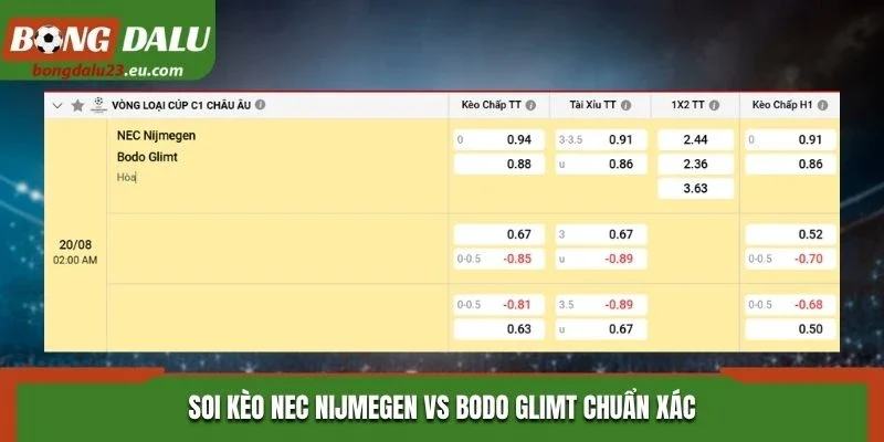 Soi kèo nhà cái trận NEC Nijmegen vs Bodo Glimt chuẩn xác