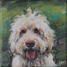 Sammy